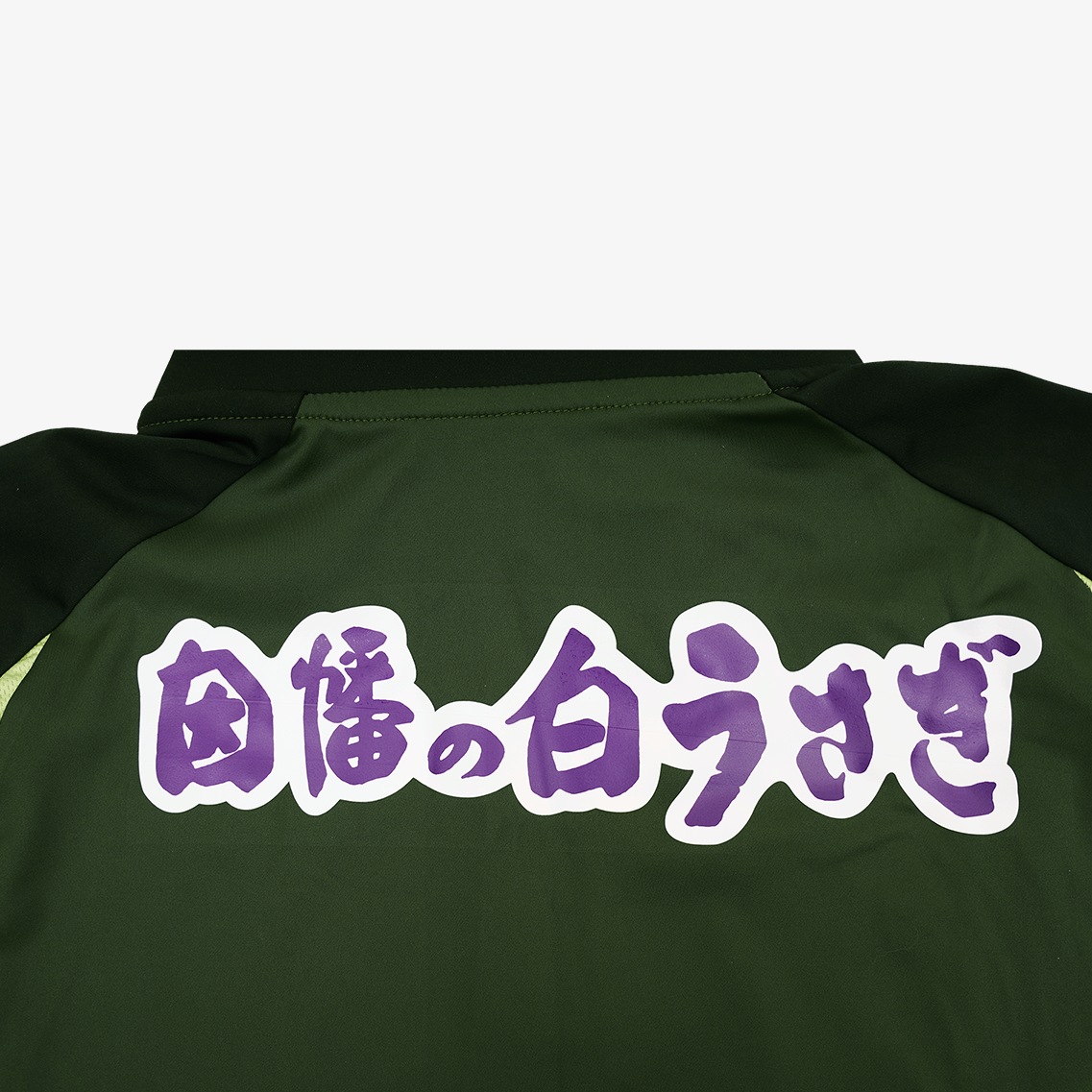 TLSSガイナーレ鳥取PFMハーフジッププラクティスシャツ
