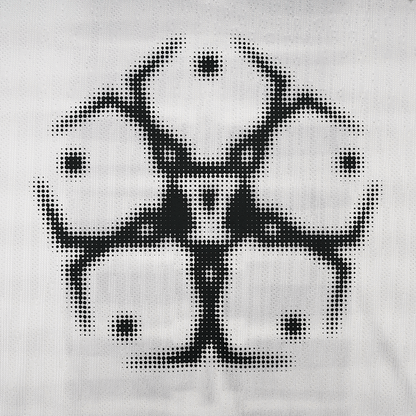 TLSS x ANAR 半袖トップス