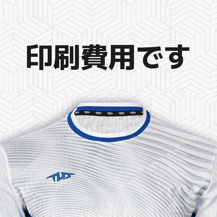 TEAM 印刷費用